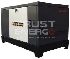 Газовый генератор Genese Standard 14000T Neva кожухе с АВР