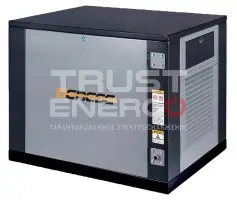 Газовый генератор Genese Standard 8500 Neva кожухе с АВР