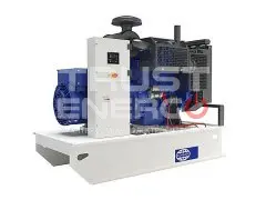 ТО-2 (ТО-1000) ДГУ FG Wilson P50P1 (один раз в 2 года)