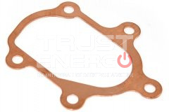 Прокладка турбокомпрессора/Turbocharger gasket