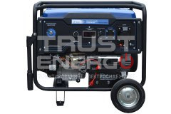 Бензиновый генератор ТСС SGG 6000EHNA